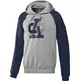 Adidas Adicolor Originals Collegiate Hoodie