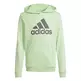 Adidas Junior Big Logo Essentials Cotton Hoodie "Green Mint"