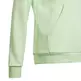 Adidas Junior Big Logo Essentials Cotton Hoodie "Green Mint"