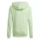 Adidas Junior Big Logo Essentials Cotton Hoodie "Green Mint"