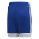 Adidas Junior Tastigo 19 Short "Bold Blue"
