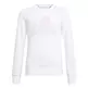 Adidas Kids Essentials Big Logo Sweatshirt