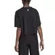 Adidas Originals Big Trefoil T-shirt W