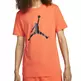 Air Jordan Jumpman Logo T-Shirt