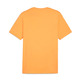 Puma GRAPHICS Mountain "Clementine" T-shirt