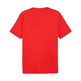 Puma GRAPHICS Summer "Red" T-shirt