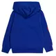 Champion Kids Basketball Logo Fleece Hoodie "Blue"