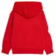 Champion Kids Basketball Logo Fleece Hoodie "Red"