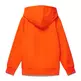 Champion Kids Rochester Hooded Sweatshirt "Orange"
