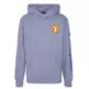 Champion Rochester Future Care Hooded Sweatshirt  "Blue Steel"