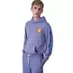 Champion Rochester Future Care Hooded Sweatshirt  "Blue Steel"
