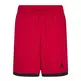Jordan Air Knit Dri-FIT Men's Shorts "Gym Red"