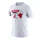 Jordan NBA Chicago Bulls Dri-FIT T-shirt "White"