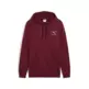 PUMA CLASS Graphic Hoodie FL "Ruby Shimmer"