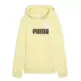Puma ESS 2 COLOR Logo Hoodie FL "Gold Moon"