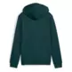 Puma ESS 2 COLOR Logo Hoodie "Green Terrain"