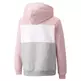 Puma Junior ESS+ Colorblock Hoodie