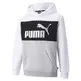 Puma Junior ESS+ Colorblock Hoodie