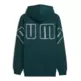 Puma MAXIMAL METALLIC Hoodie FL "Green Terrain"