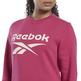 Reebok  Identity Logo Fleece Hoodie