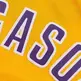 Camiseta NBA Bordados Adidas Pau Gasol Lakers (yellow/purple)