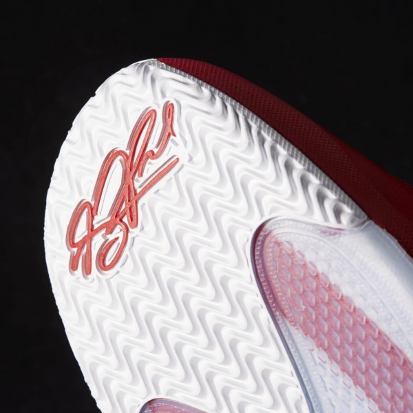 D Rose Englewood Boost "Rubron" (burgundy/red/white)