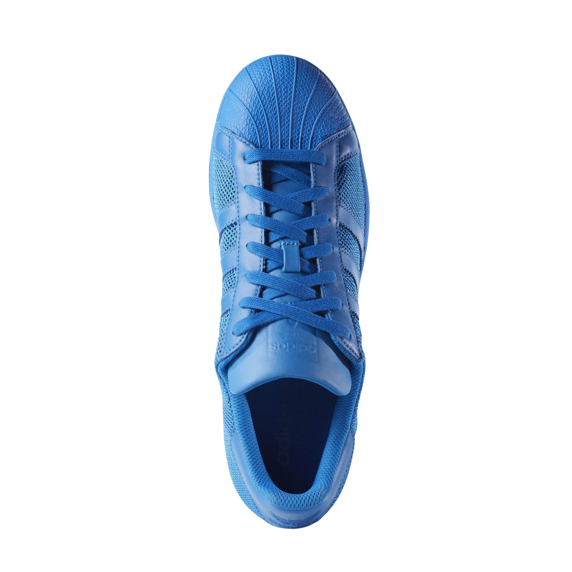 Superstar metallic heren bluebird on sale