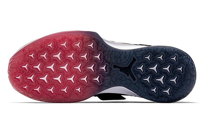 jordan trainer 2 flyknit unc