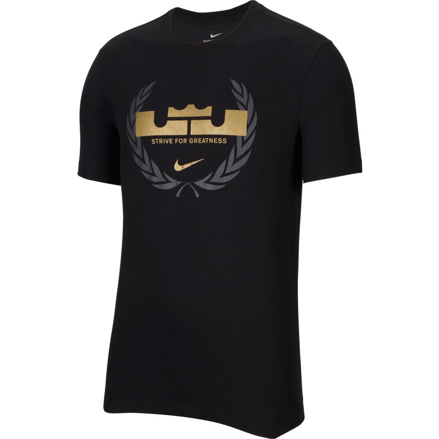 nike dri fit lebron shirt